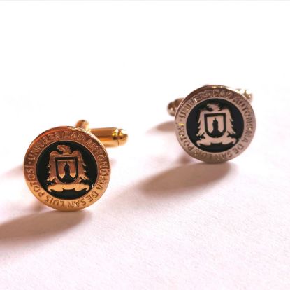 Imagen de Pin institucional UASLP 